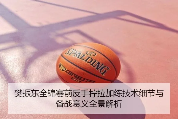 樊振东全锦赛前反手拧拉加练技术细节与备战意义全景解析